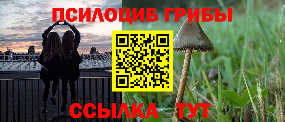 Псилоцибиновые грибы GOLDEN TEACHER Ноябрьск